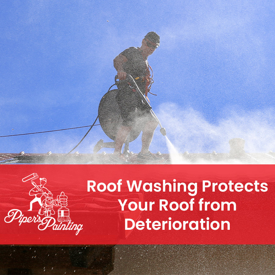 Roof Washing Protects Your Roof from Deterioration